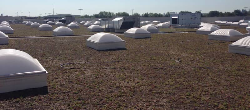 FiberTite Green Roofing System