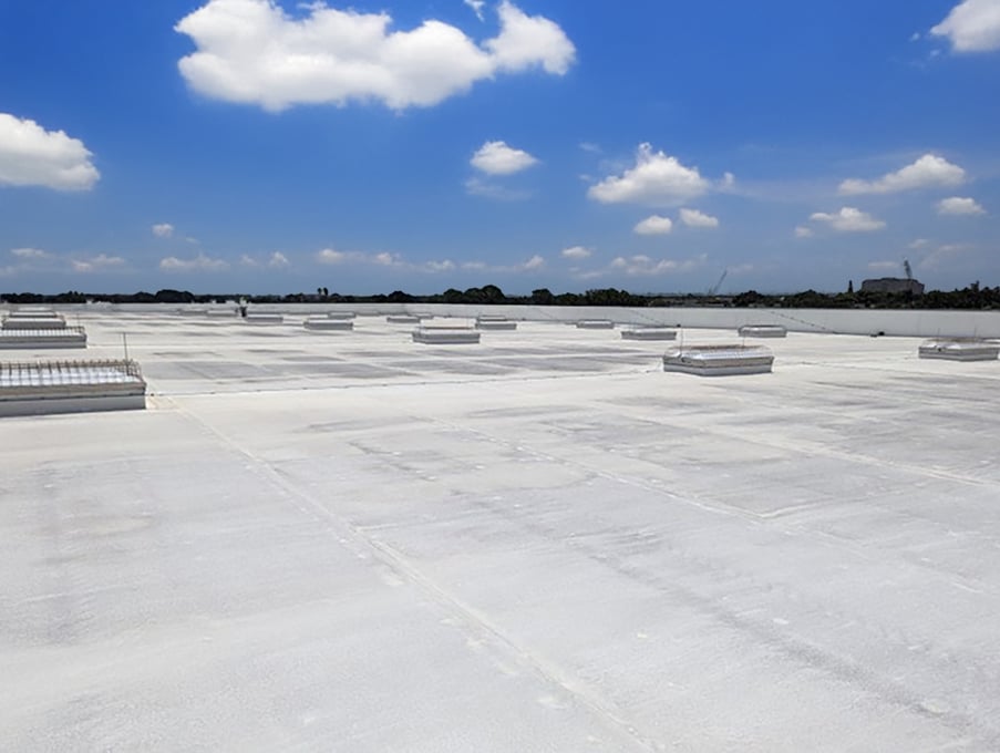 FTR Amazon 06-5_SKY
