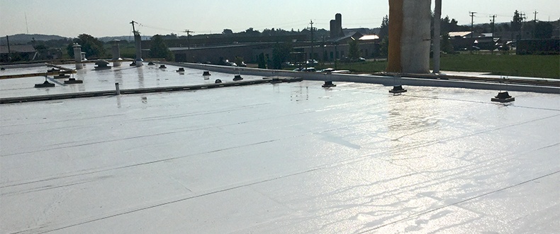 Wet Roof (Canada)