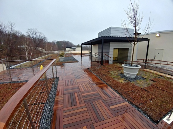 Office Building Green Roof With Garden Areas and Pavers
