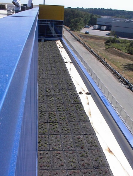 Modular Green Roof at IKEA in Stoughton, Massachusetts