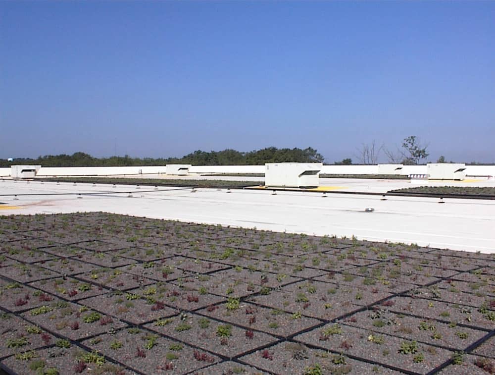 Green Roof Installation at IKEA in Stoughton, Massachusetts