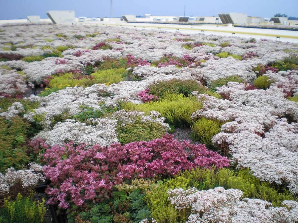 FiberTite Green Roofing System