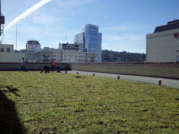 Energy Efficient Roofing System in Portland, Oregon