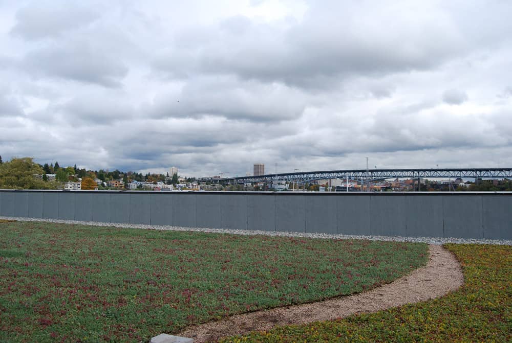 Rooftop at Aleutian Spray Fisheries in Seattle