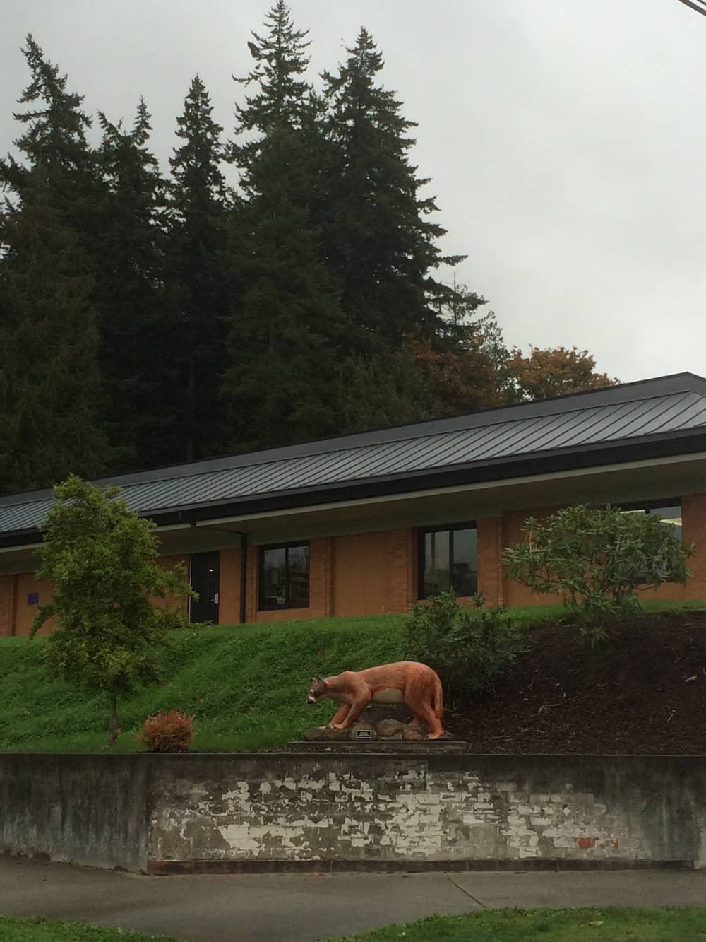 Ribbed Metal Roofing System, Conway Schools, District Offices, Mount Vernon, Washington